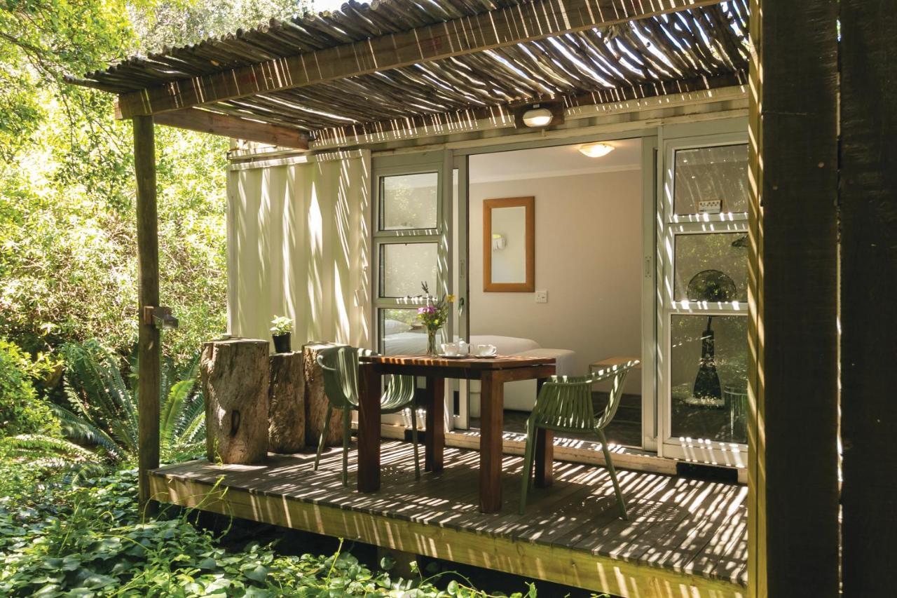 Camps Bay Forest Pods Kapsztad Zewnętrze zdjęcie