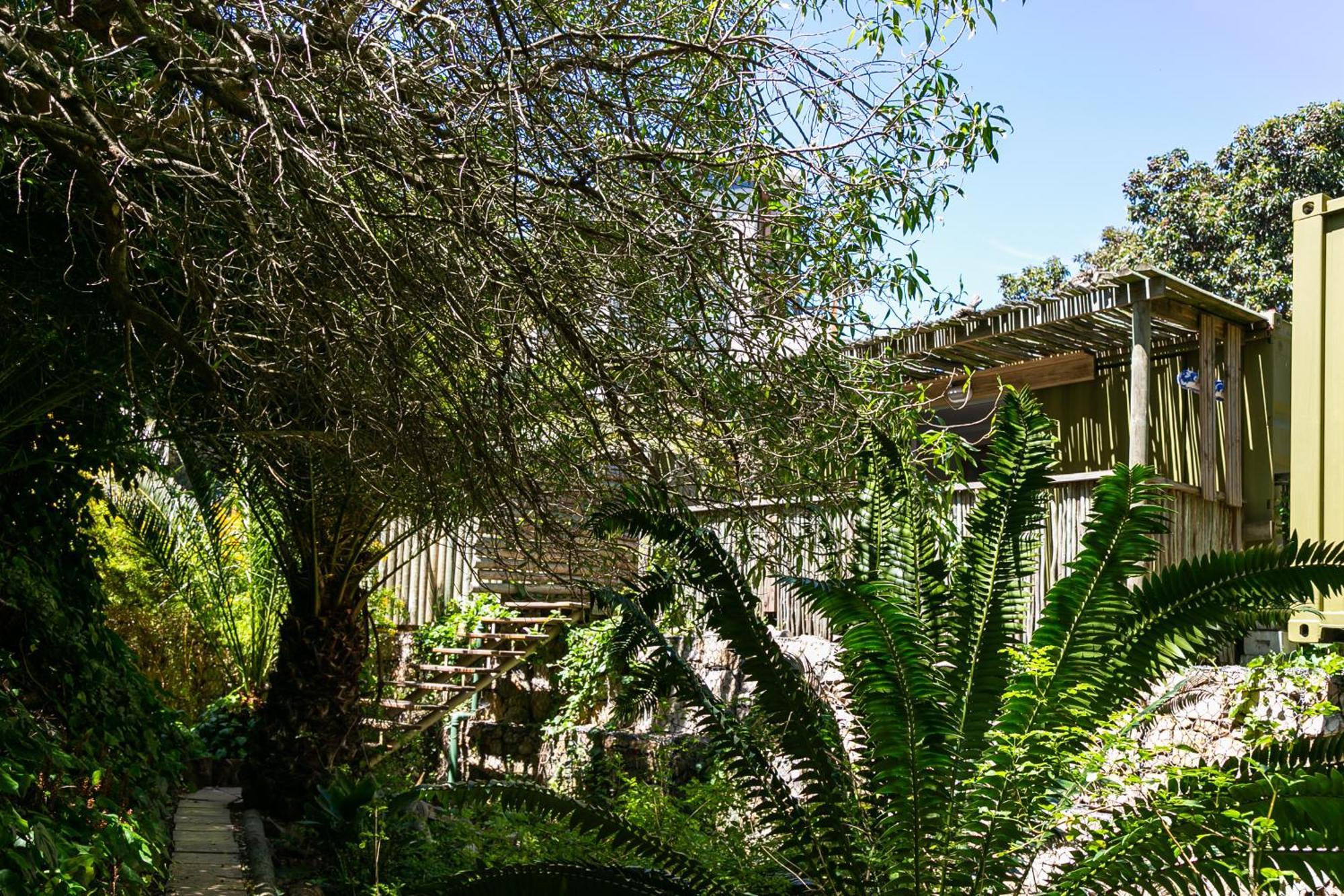 Camps Bay Forest Pods Kapsztad Zewnętrze zdjęcie