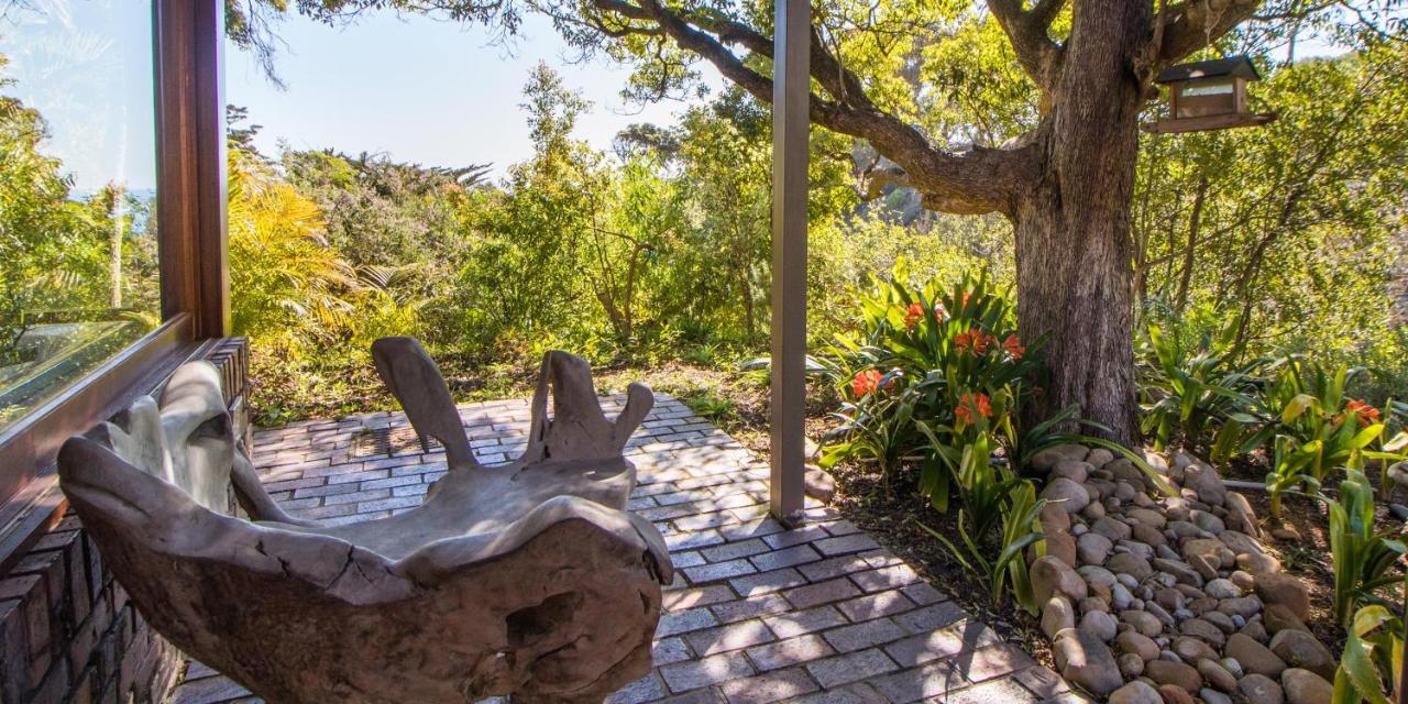 Camps Bay Forest Pods Kapsztad Zewnętrze zdjęcie